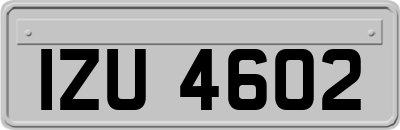 IZU4602