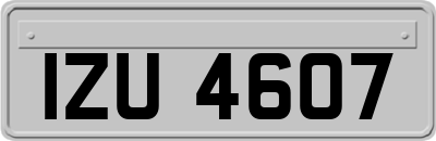 IZU4607