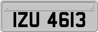 IZU4613