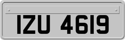 IZU4619
