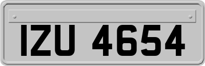 IZU4654