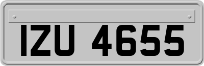IZU4655