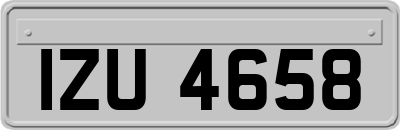 IZU4658