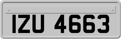 IZU4663