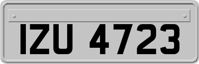 IZU4723