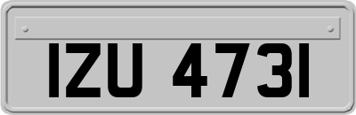 IZU4731
