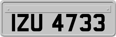 IZU4733