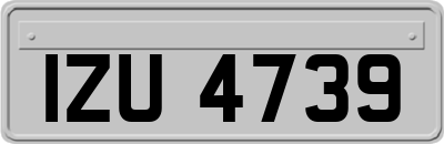 IZU4739