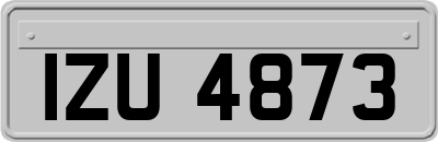 IZU4873