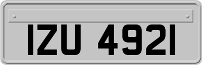 IZU4921