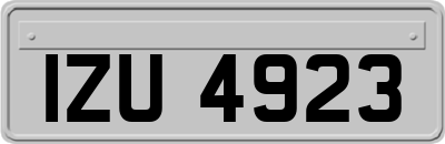 IZU4923