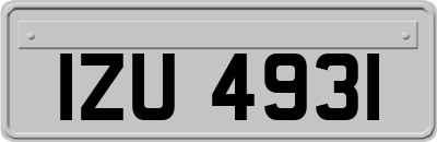 IZU4931