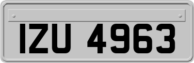 IZU4963
