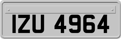 IZU4964