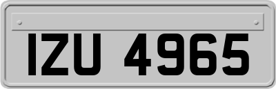 IZU4965