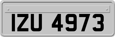 IZU4973