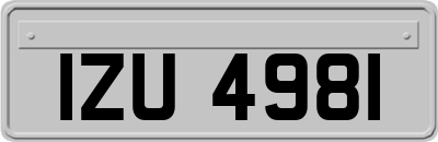 IZU4981