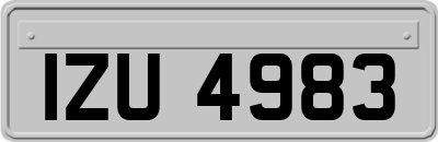 IZU4983