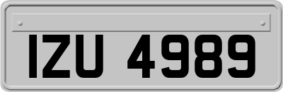IZU4989