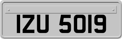 IZU5019