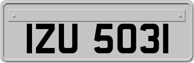 IZU5031
