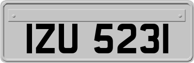 IZU5231