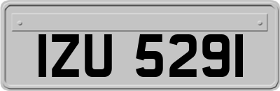 IZU5291