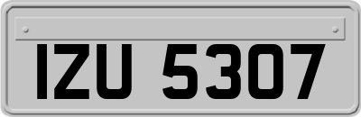 IZU5307