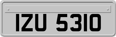 IZU5310