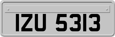 IZU5313