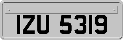 IZU5319