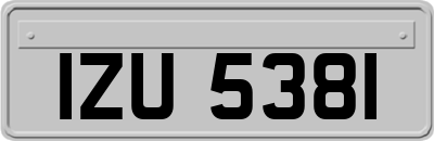 IZU5381