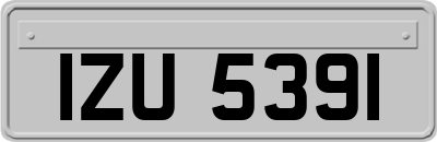 IZU5391