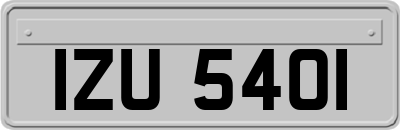 IZU5401