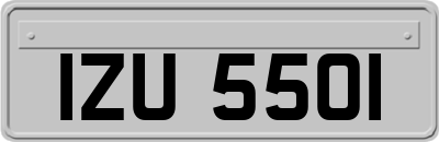 IZU5501