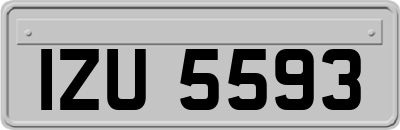 IZU5593