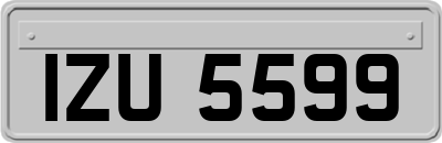 IZU5599