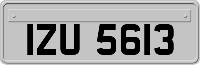 IZU5613