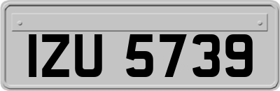 IZU5739