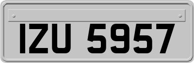 IZU5957