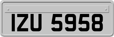 IZU5958