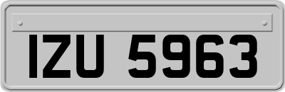 IZU5963