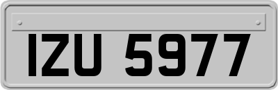 IZU5977
