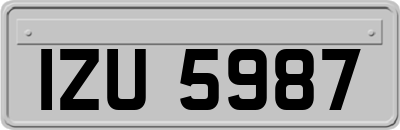 IZU5987