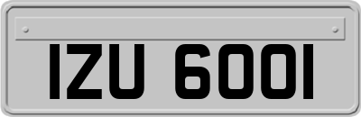 IZU6001