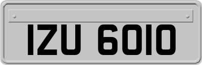 IZU6010