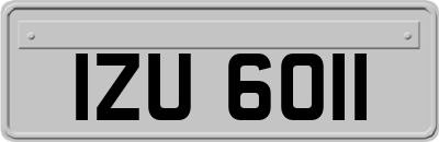 IZU6011