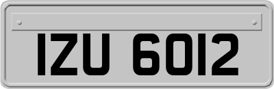 IZU6012