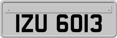 IZU6013