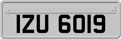IZU6019